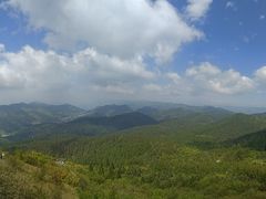 -武陵山森林公园