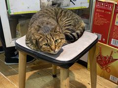-驴公驴婆(曹杨店)