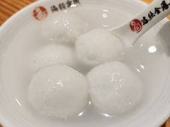 -海丝金凤(金鱼店)