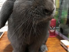 -龙猫仔乐园(惠福东路店)