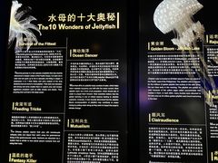 -上海海洋水族馆