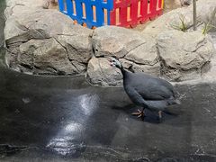 -海合安武汉极地海洋公园