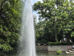 -九龙公园