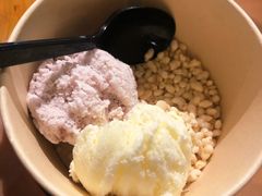 雪糕-凤阁楼果木烧鹅(鹤山陈山店)