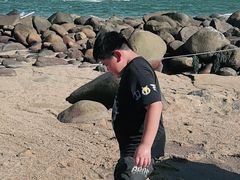 -广东惠东海龟国家级自然保护区