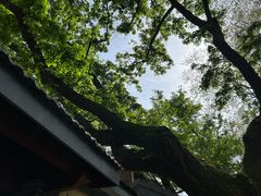 -颐和路民国时期公馆风貌区