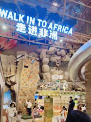 -卡通尼·Safari非洲探索乐园·生日会(金桥国际商业广场店)