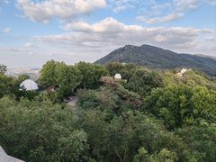 -紫金山天文台