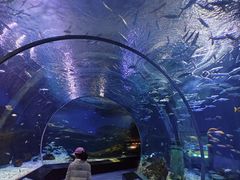 -海合安武汉极地海洋公园