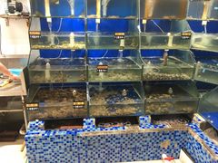 水产区-雅逸居海鲜小厨