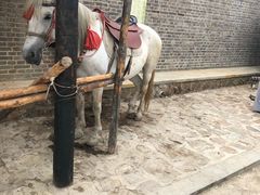 -清风小镇闯关东影视基地