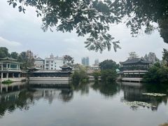 -荔湾湖公园
