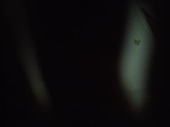 -上海观复博物馆