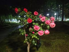 -回龙观体育文化公园