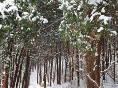 -龙洞风景区-藏龙涧