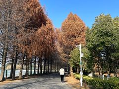 -石湖景区