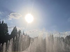 -上海市龙华烈士陵园