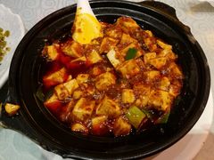 -陈麻婆豆腐总店
