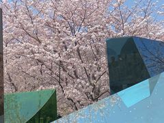 -龙美术馆(西岸馆)