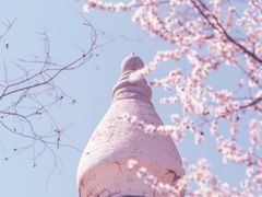 -香山公园