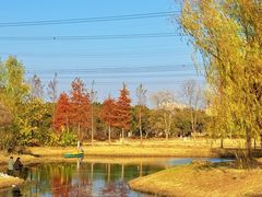 -嘉北郊野公园
