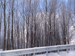 -太子岭滑雪场
