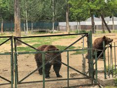 -秦皇岛野生动物园