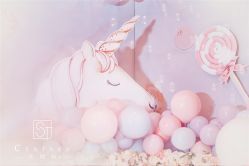 -圣塔拉 宝宝宴生日Party气球派对一站式高端策划