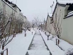 -苏堤停车场