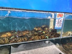 -仙螺岛海鲜自助餐厅(总店)
