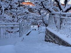 -蓟洲国际滑雪场