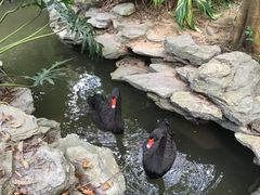 景点-水濂山森林公园