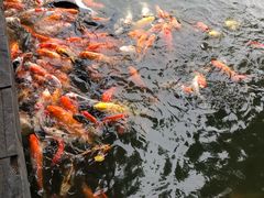 -珠海圆明新园