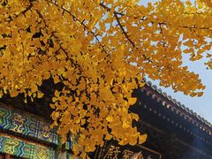 -红螺寺