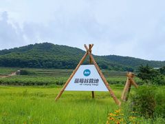 -金石滩蓝莓谷庄园