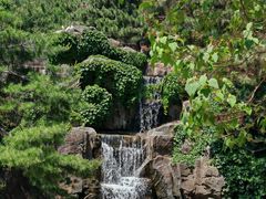 -燕塞湖鸟语林景区