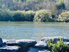 -崇圣寺三塔文化旅游区