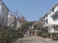 -西湖风景区十里琅珰-五云山