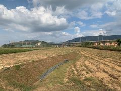 -光明小镇欢乐田园