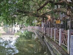 -小洲村