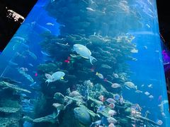 -泉城欧乐堡海洋极地世界