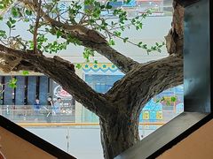 -桂满陇-锦绣江南(万象城店)