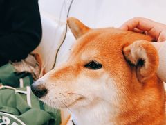 -小时光咖啡馆(北锣鼓巷店)