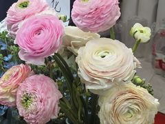 -木瓜老店