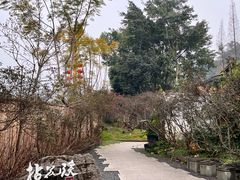 -乐领拈花溪·林涧食韵