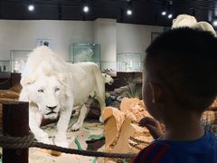 -陕西自然博物馆