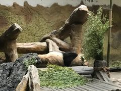 -常州淹城野生动物世界