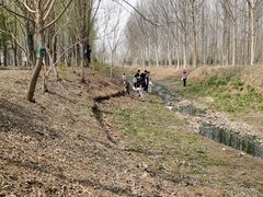 -东郊湿地公园
