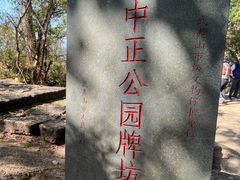 -武夷山风景名胜区-玉女峰