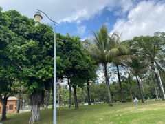 -宝安西湾红树林湿地公园